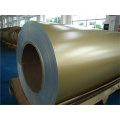 Ausgezeichnete Zinkbeschichtung Coil / Cold Rolled